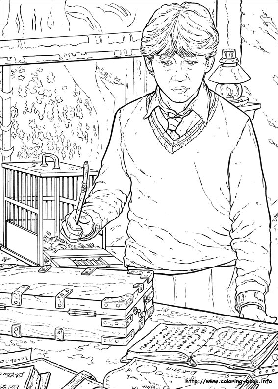 Harry Potter coloring picture